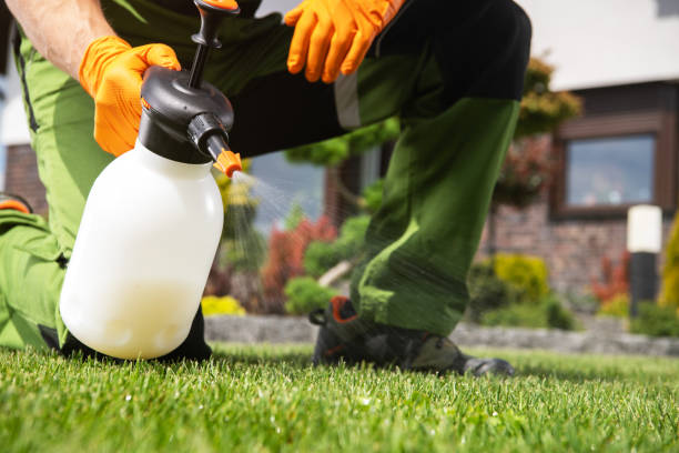 Best Rodent Control Near Me  in Litchfield, MI