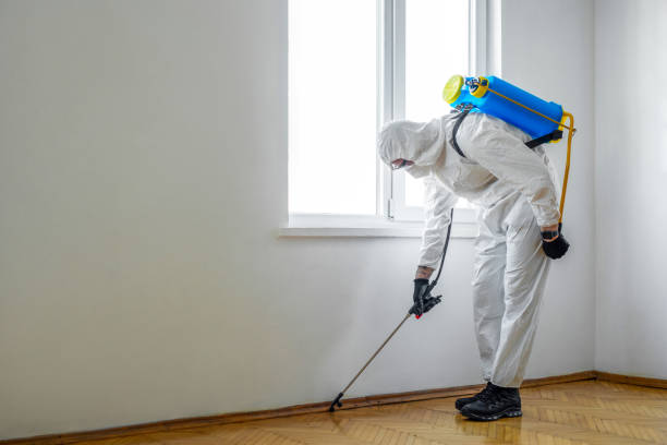 Best Pest Control Near Me  in Litchfield, MI