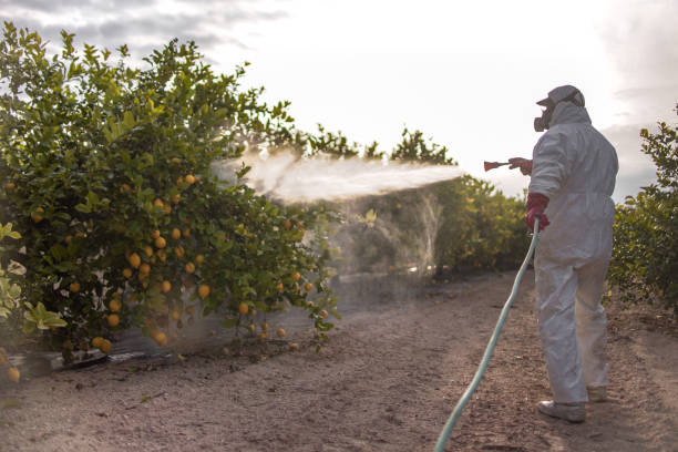 Best Termite Control Services  in Litchfield, MI