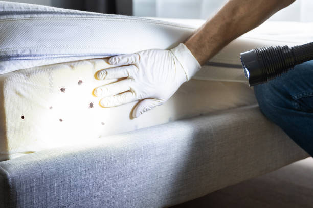 Best Exterminator Services  in Litchfield, MI