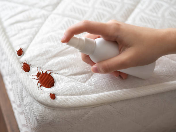 Best Emergency Pest Control  in Litchfield, MI