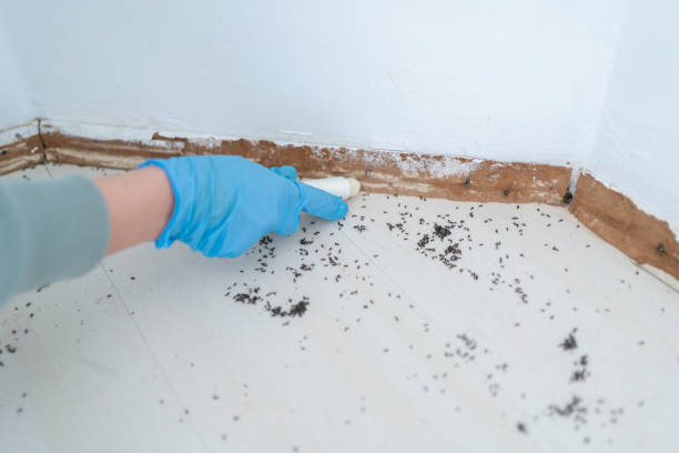 Reliable Litchfield, MI Pest Control Solutions